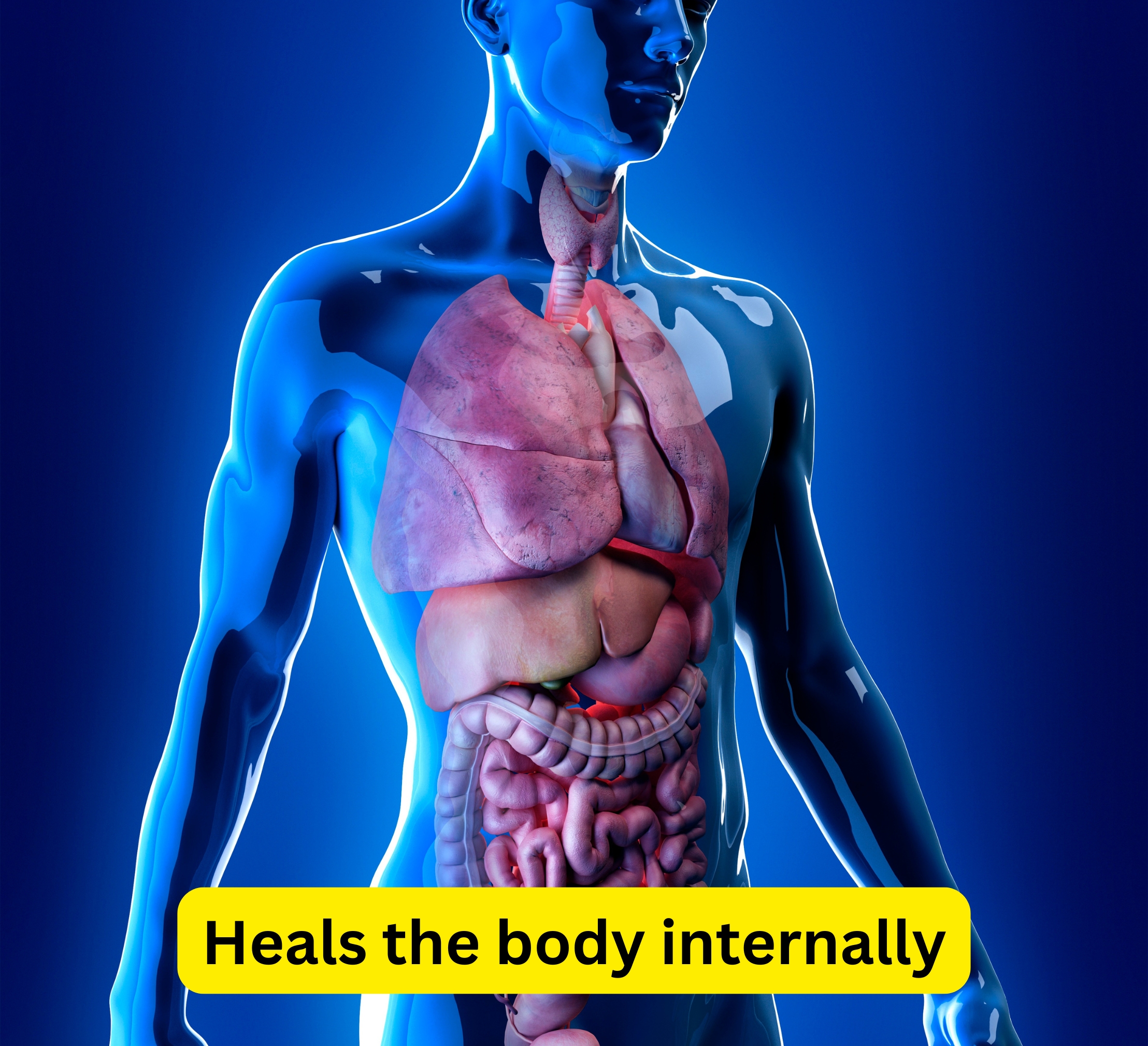 control blood sugar levels (5)